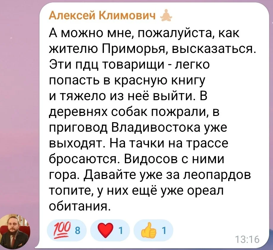 Изображение к публикации