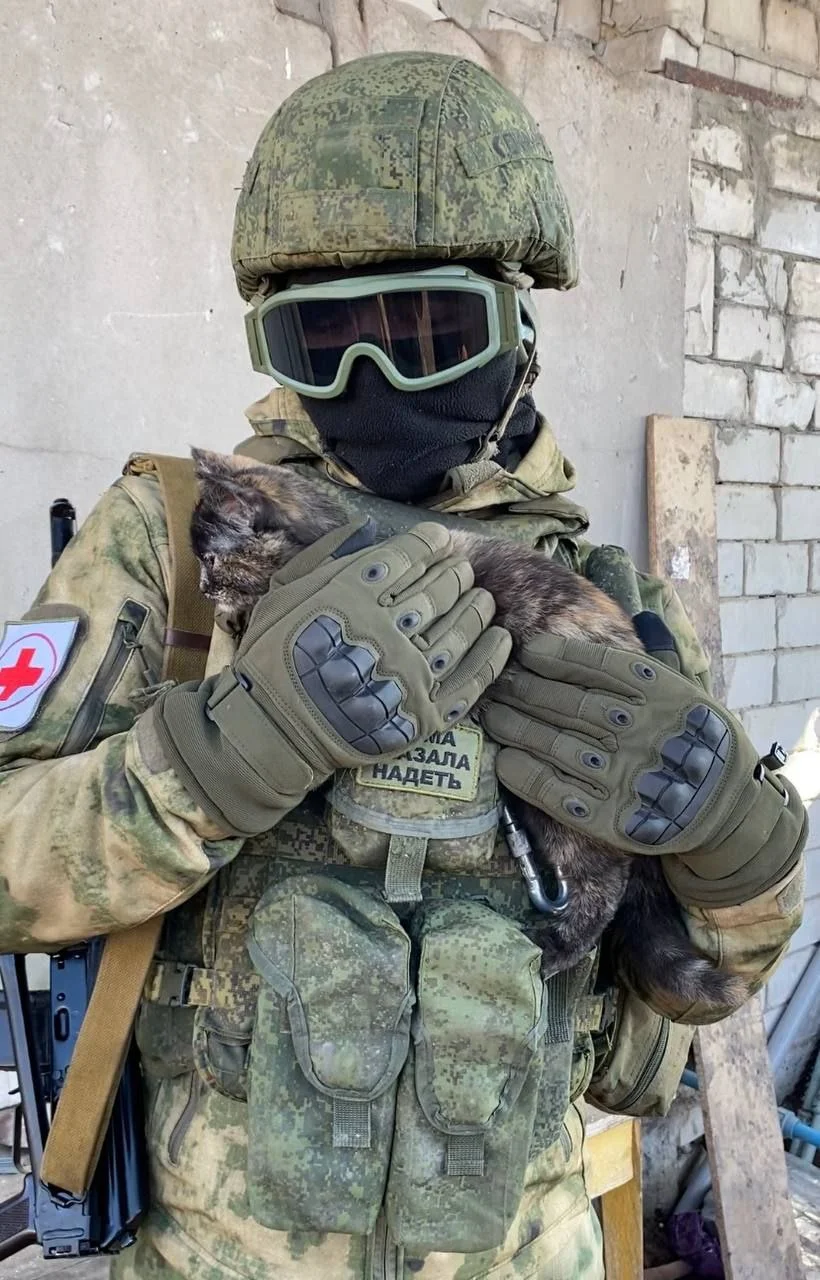 Изображение к публикации