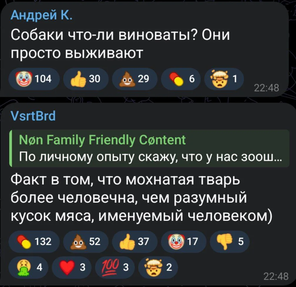 Изображение к публикации