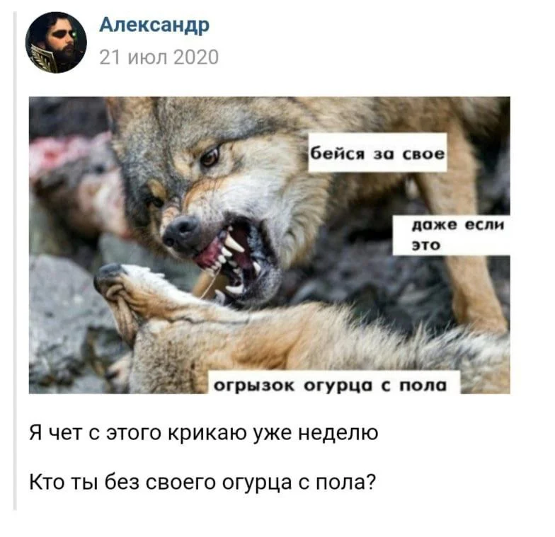 Изображение к публикации