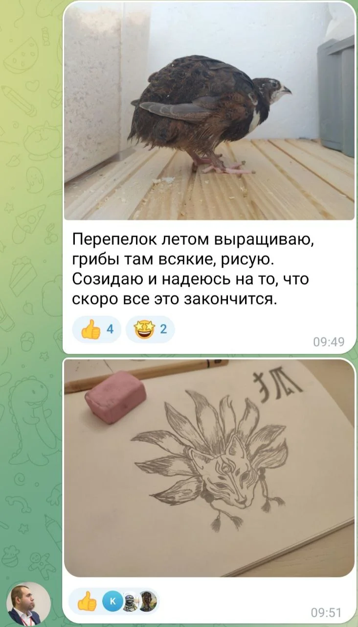 Изображение к публикации
