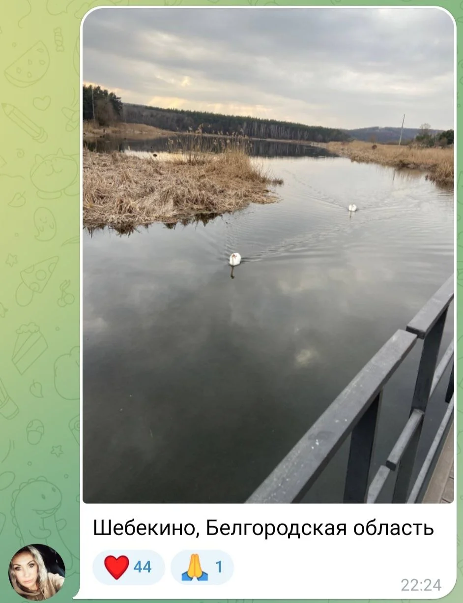 Изображение к публикации