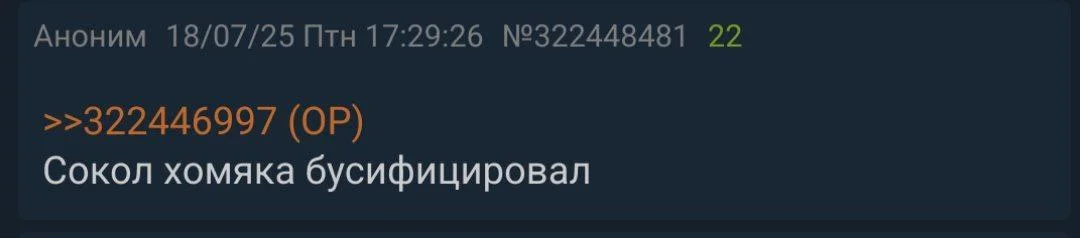 Изображение к публикации