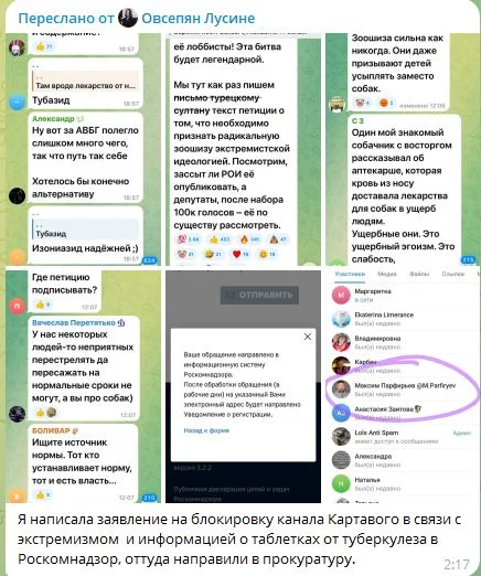 Изображение к публикации