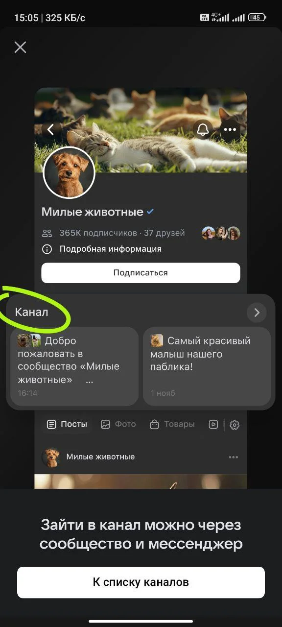 Изображение к публикации