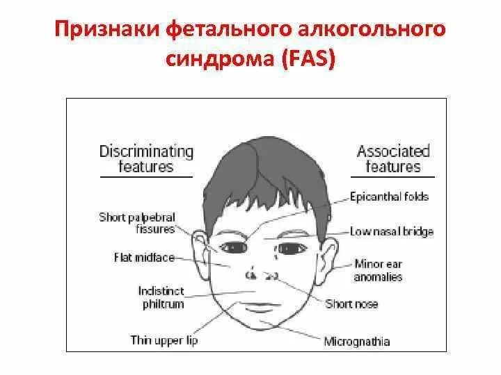 Изображение к публикации