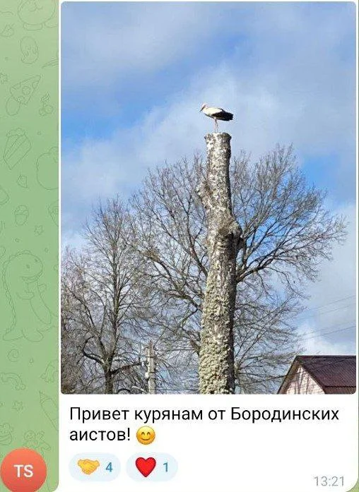 Изображение к публикации