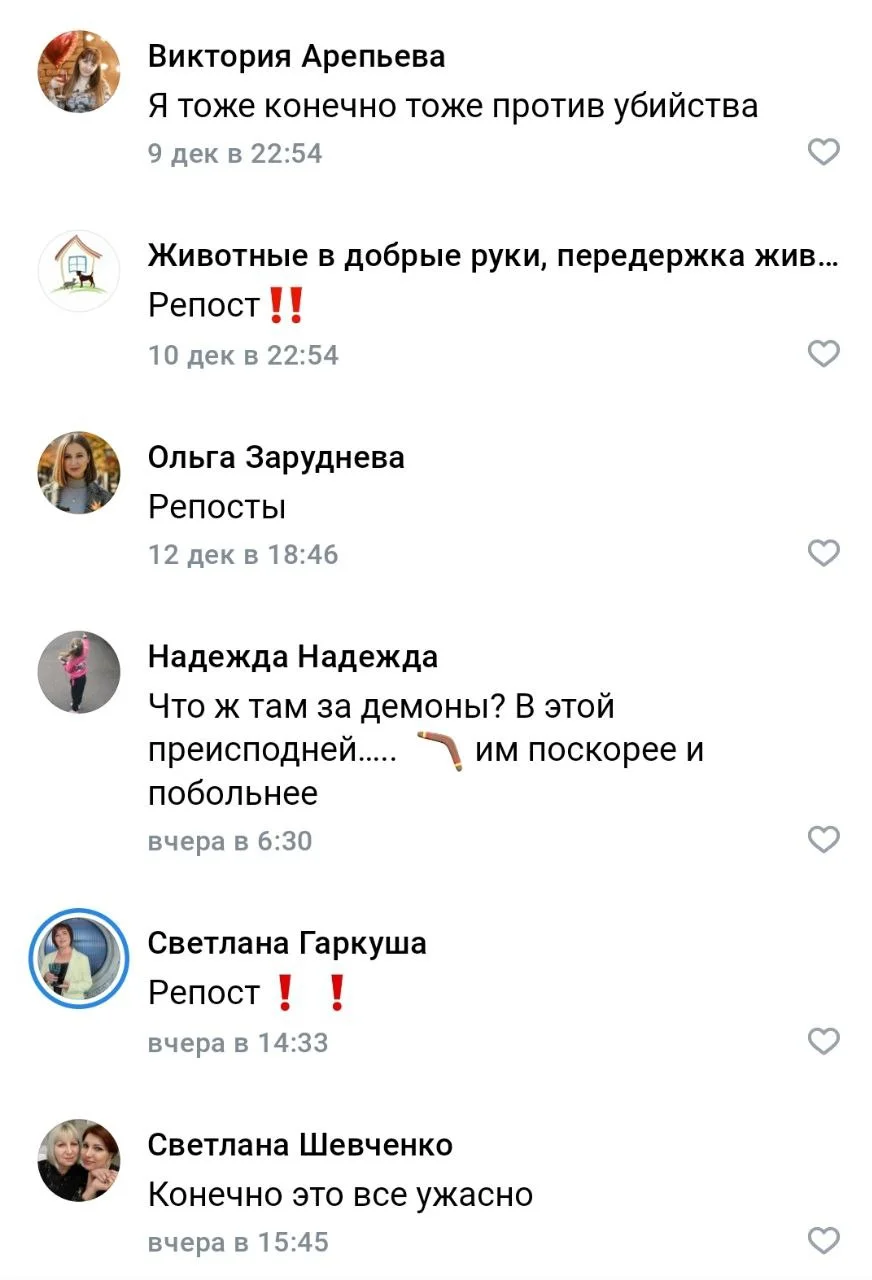 Изображение к публикации