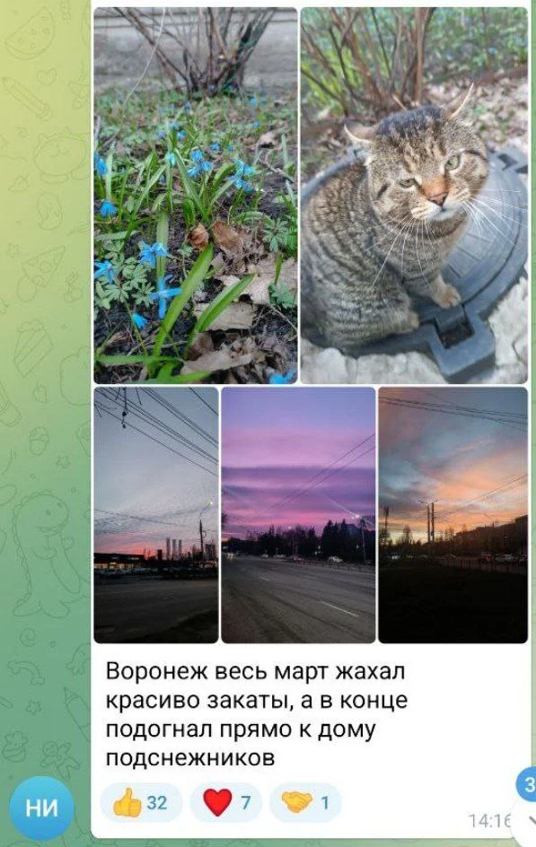 Изображение к публикации