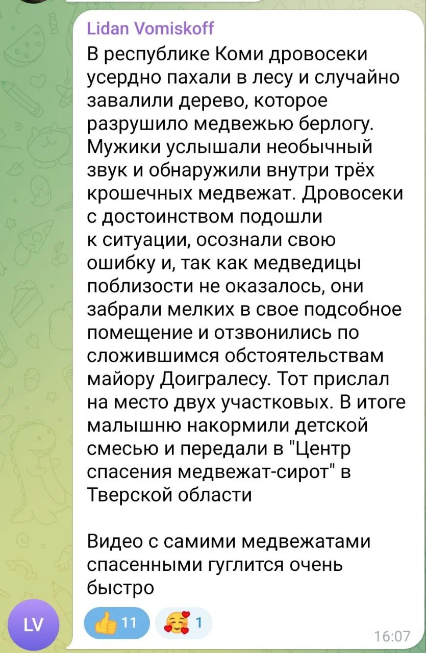 Изображение к публикации