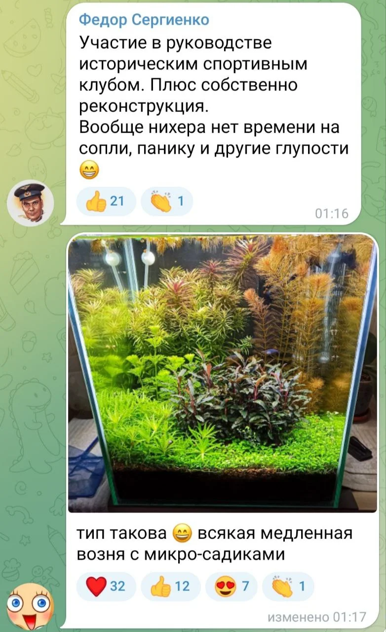 Изображение к публикации