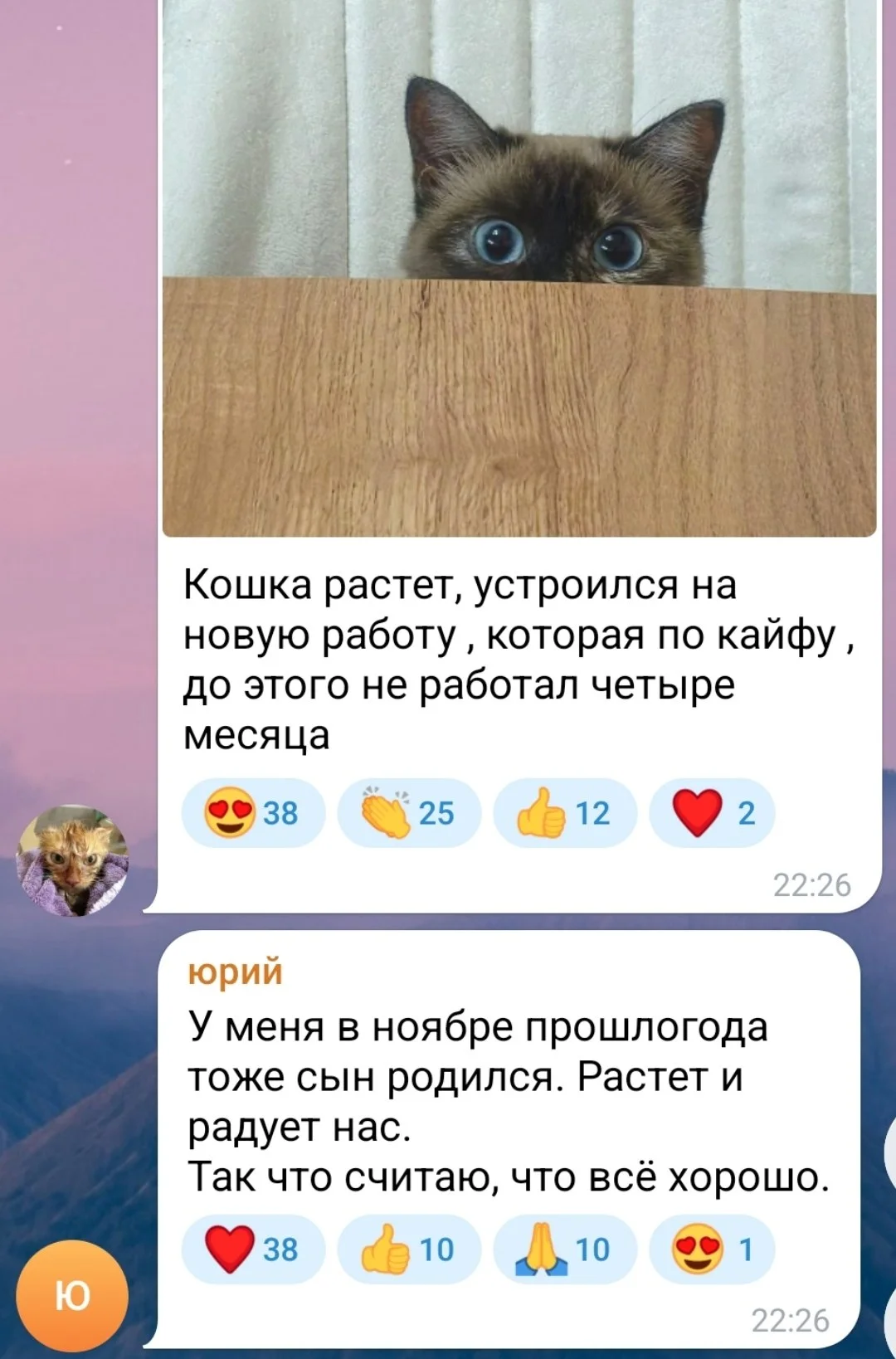 Изображение к публикации