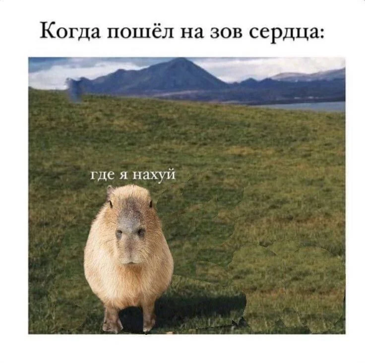 Изображение к публикации