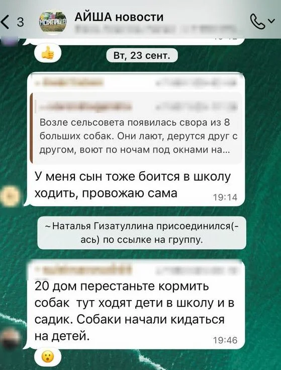 Изображение к публикации
