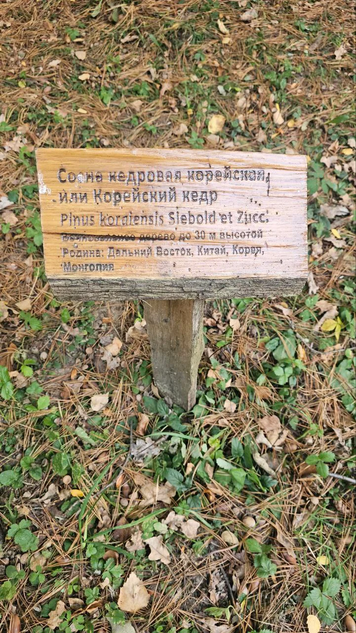 Изображение к публикации