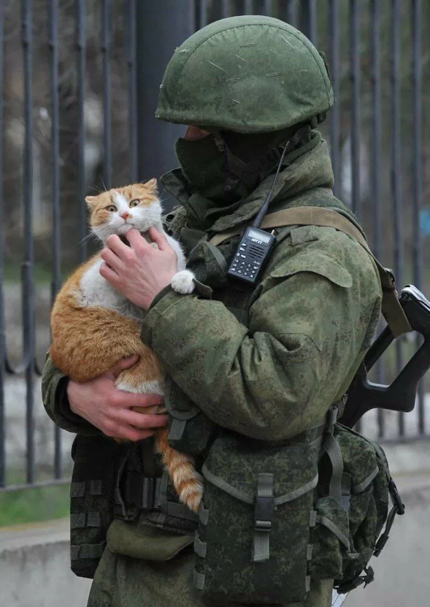 Изображение к публикации