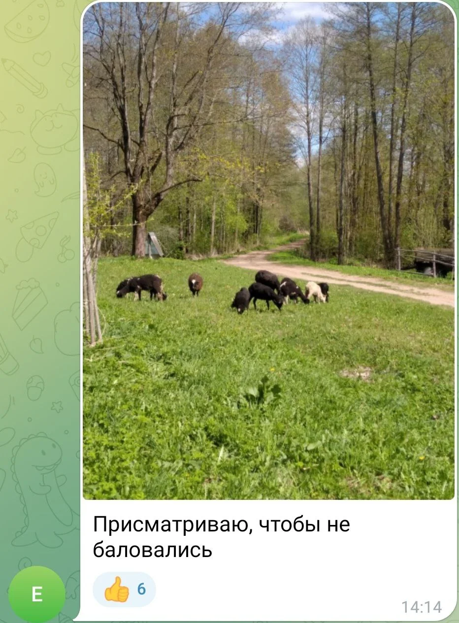 Изображение к публикации