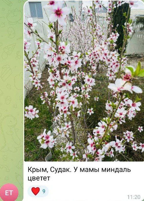 Изображение к публикации