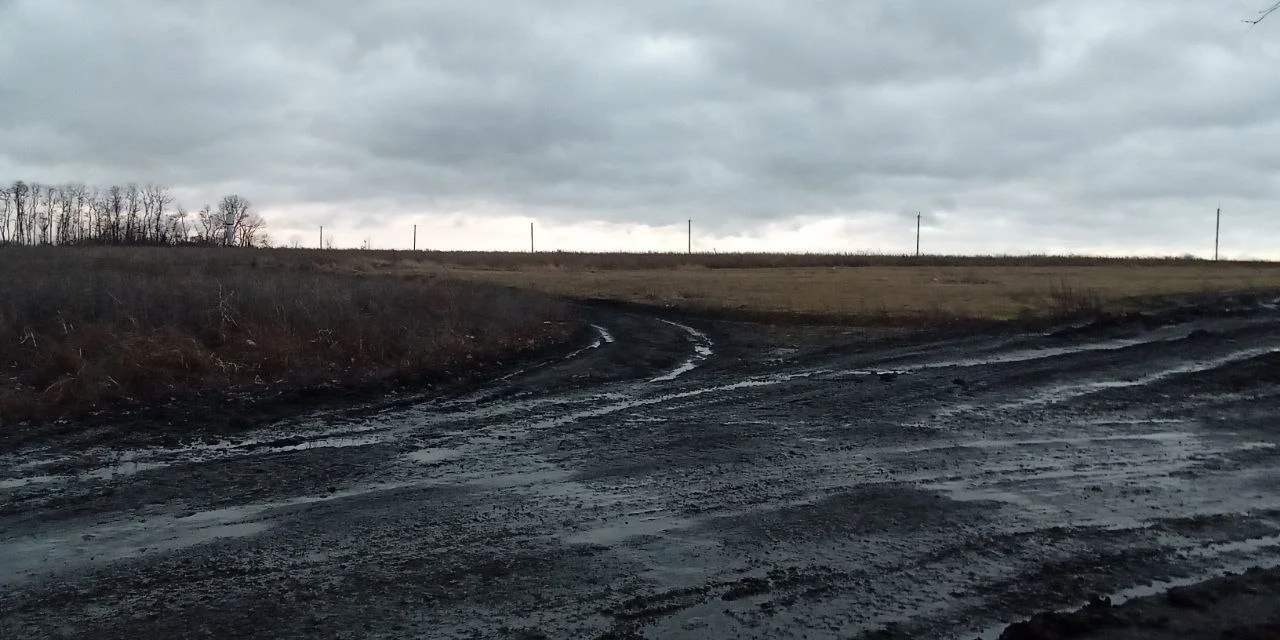Изображение к публикации