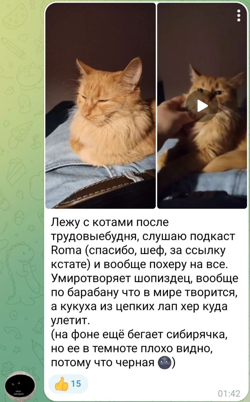 Изображение к публикации