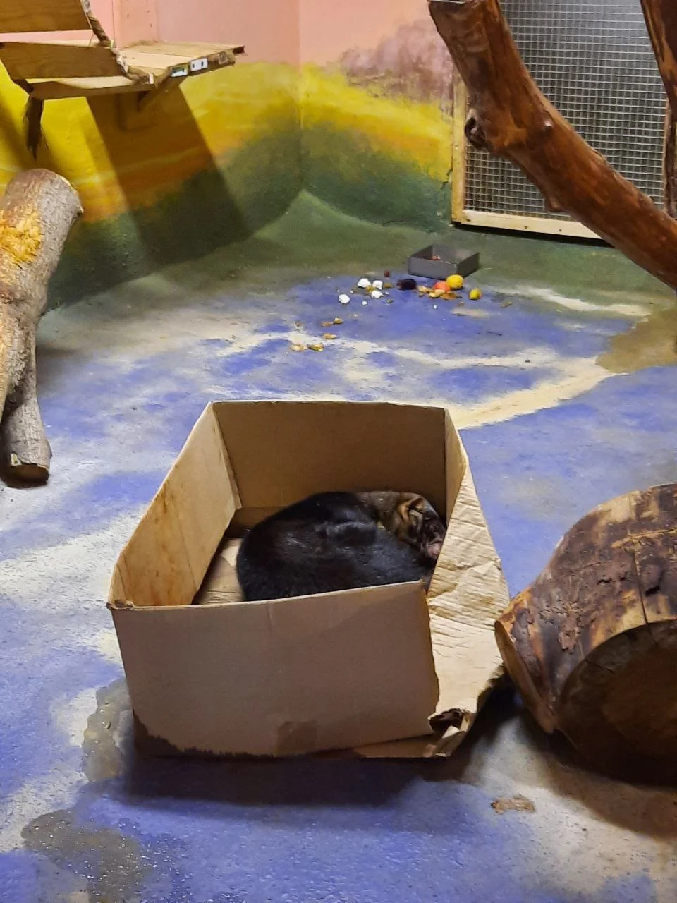 Изображение к публикации