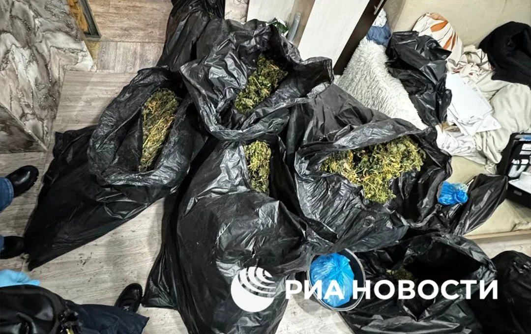 Изображение к публикации