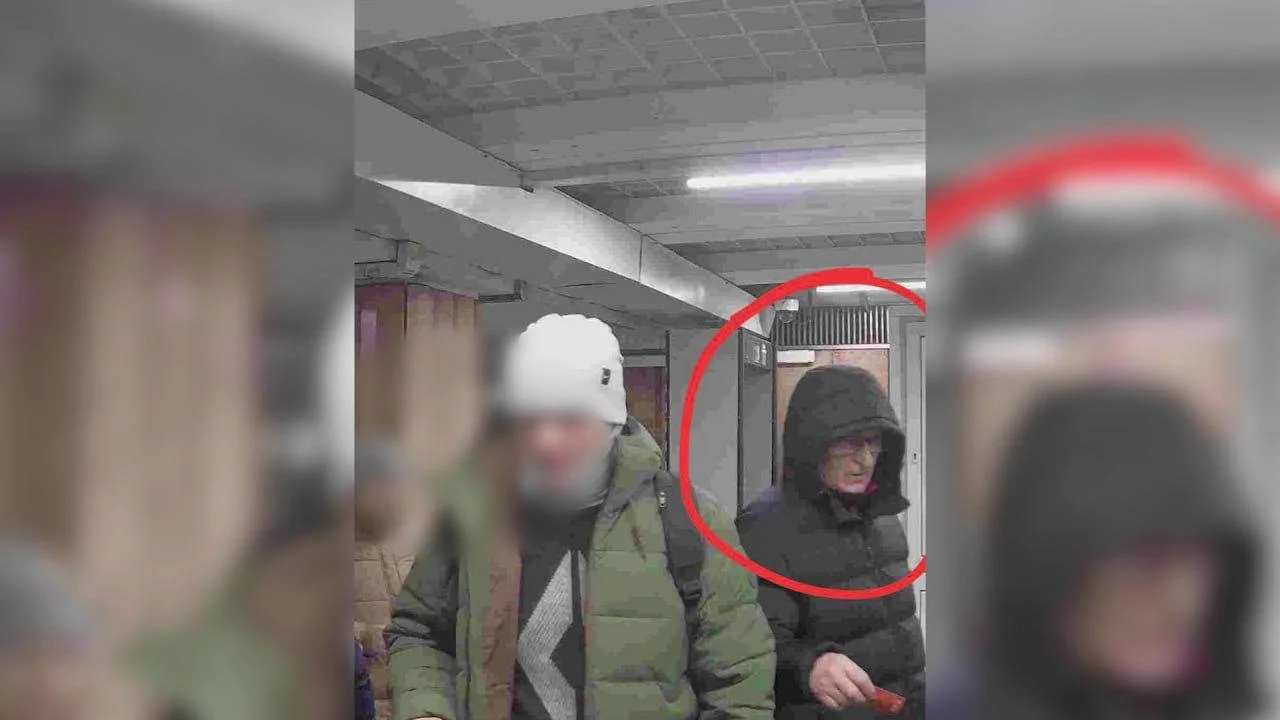 Изображение к публикации