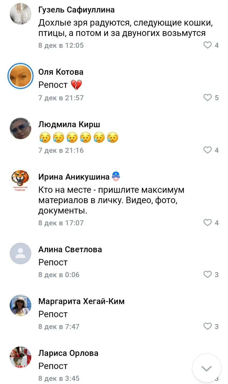 Изображение к публикации