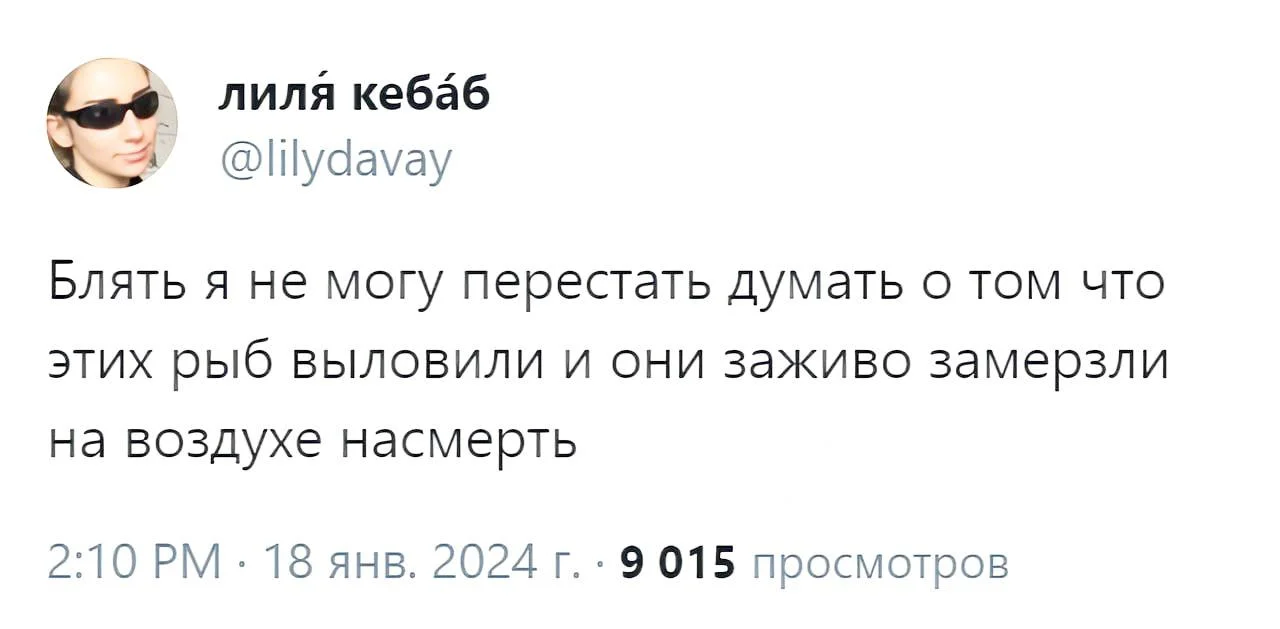 Изображение к публикации