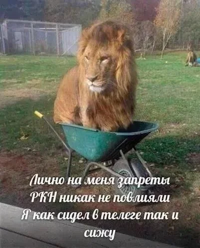 Изображение к публикации