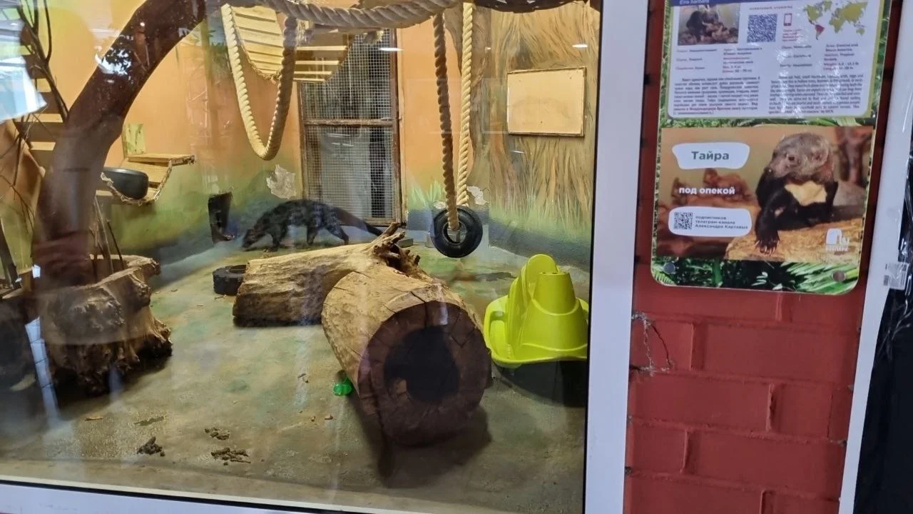 Изображение к публикации