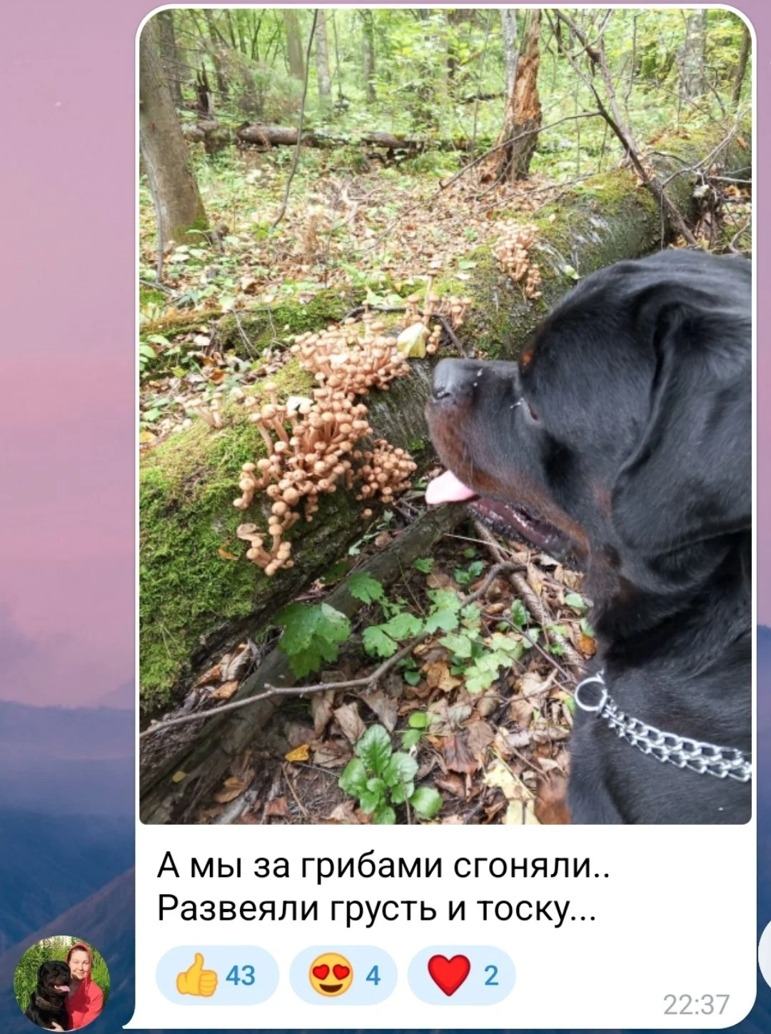 Изображение к публикации