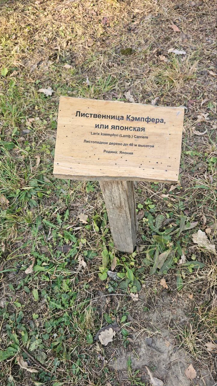 Изображение к публикации