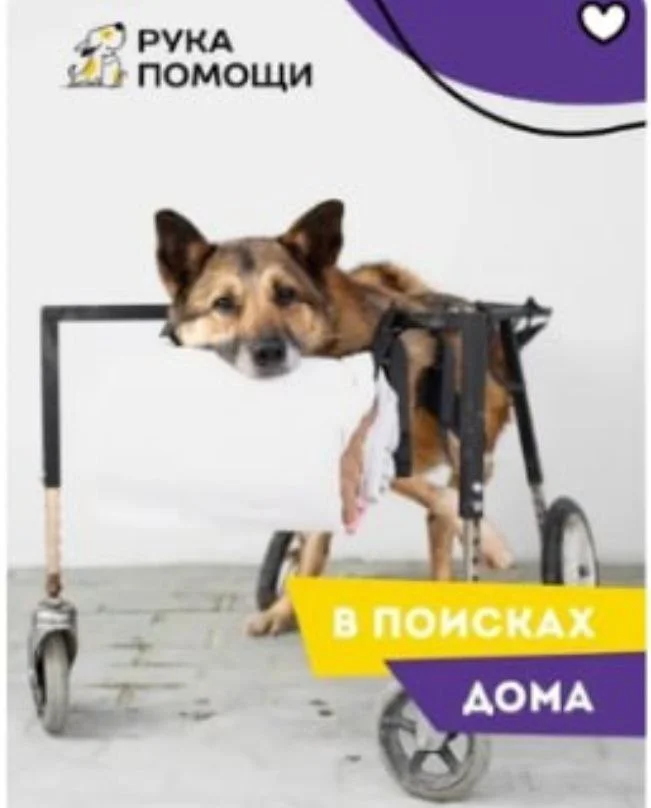 Изображение к публикации
