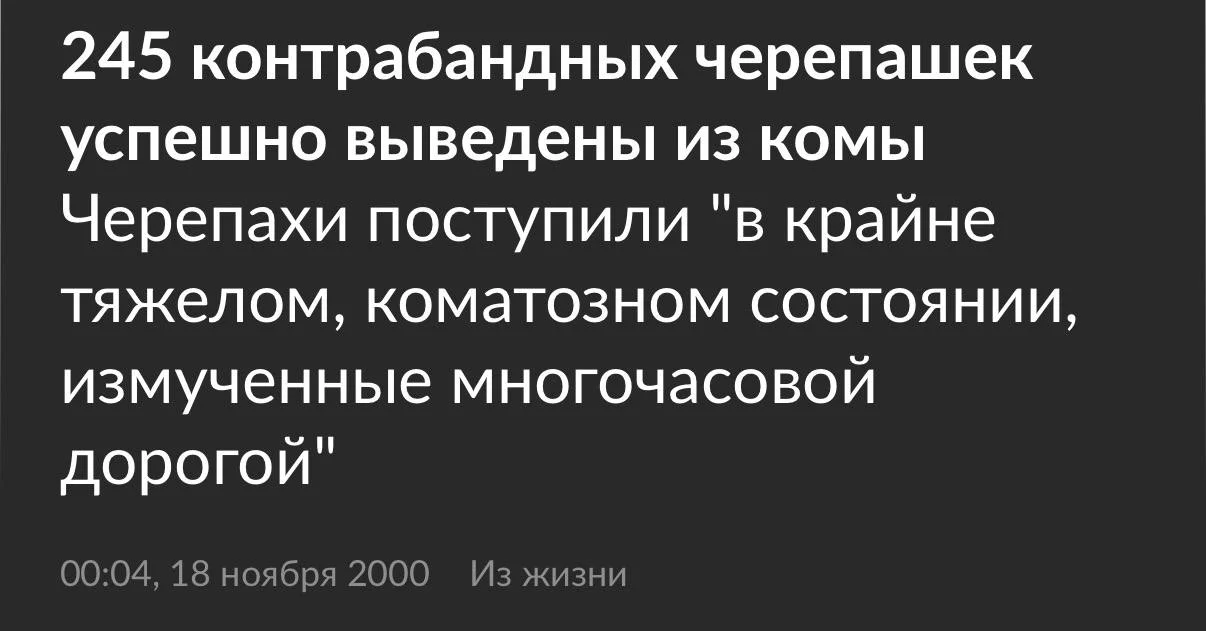 Изображение к публикации