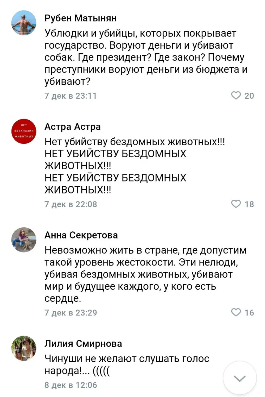 Изображение к публикации