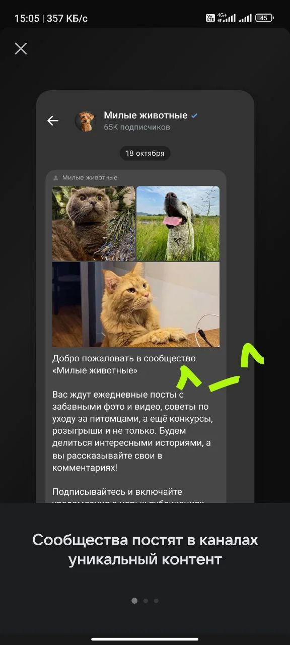 Изображение к публикации