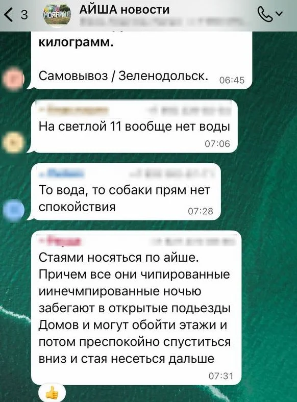 Изображение к публикации