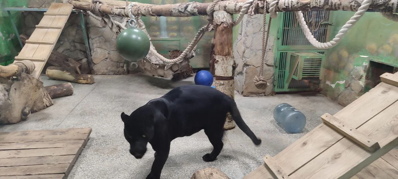 Изображение к публикации