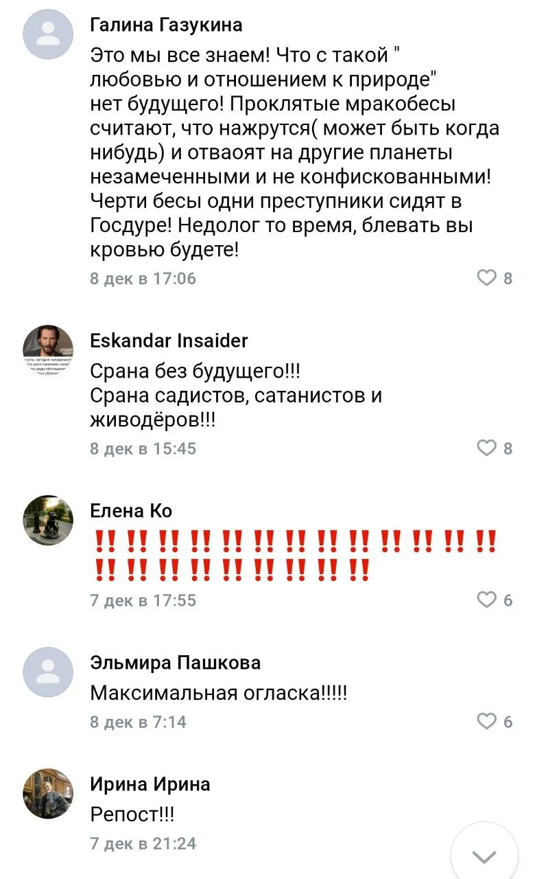 Изображение к публикации