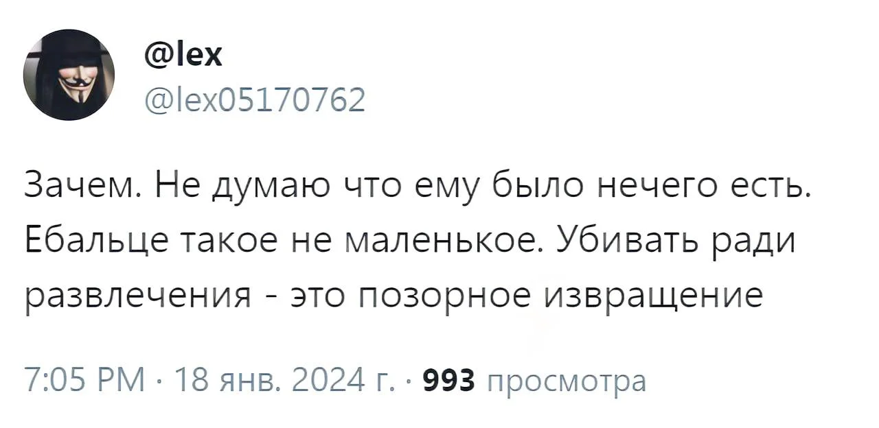 Изображение к публикации