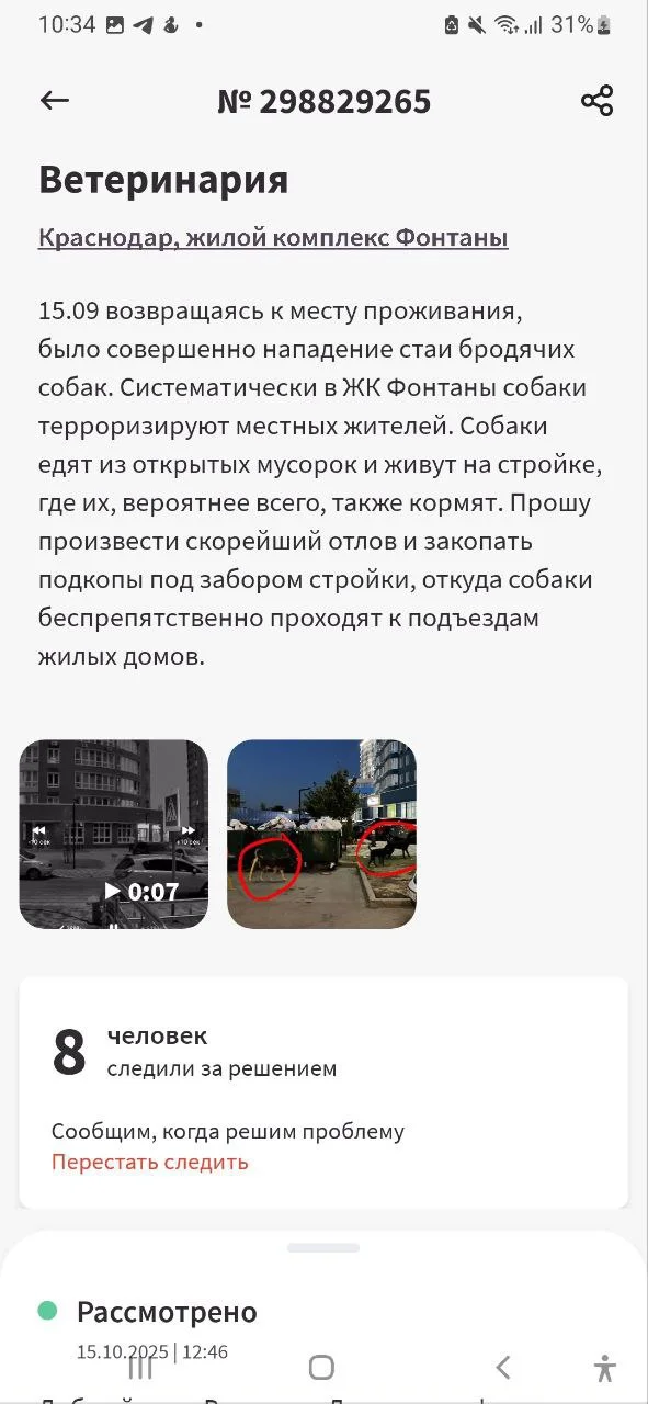 Изображение к публикации