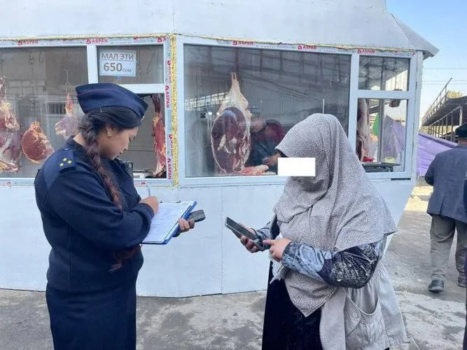 Изображение к публикации