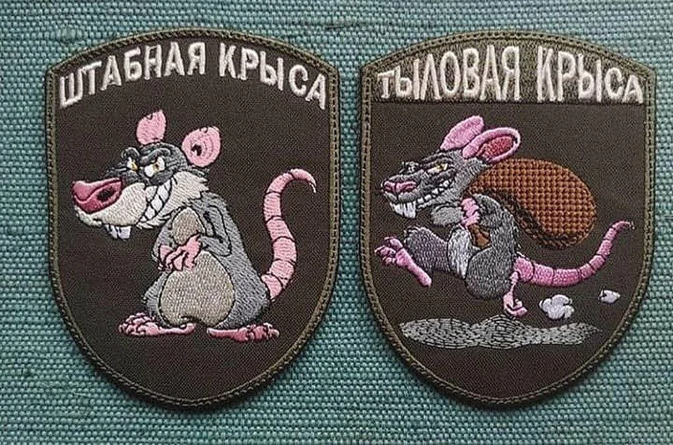 Изображение к публикации