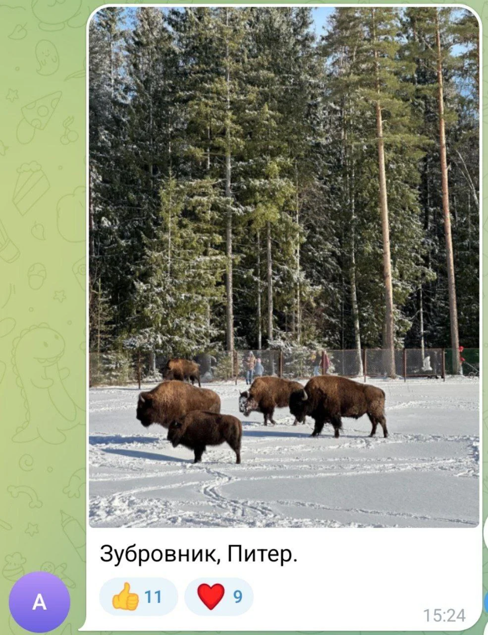 Изображение к публикации