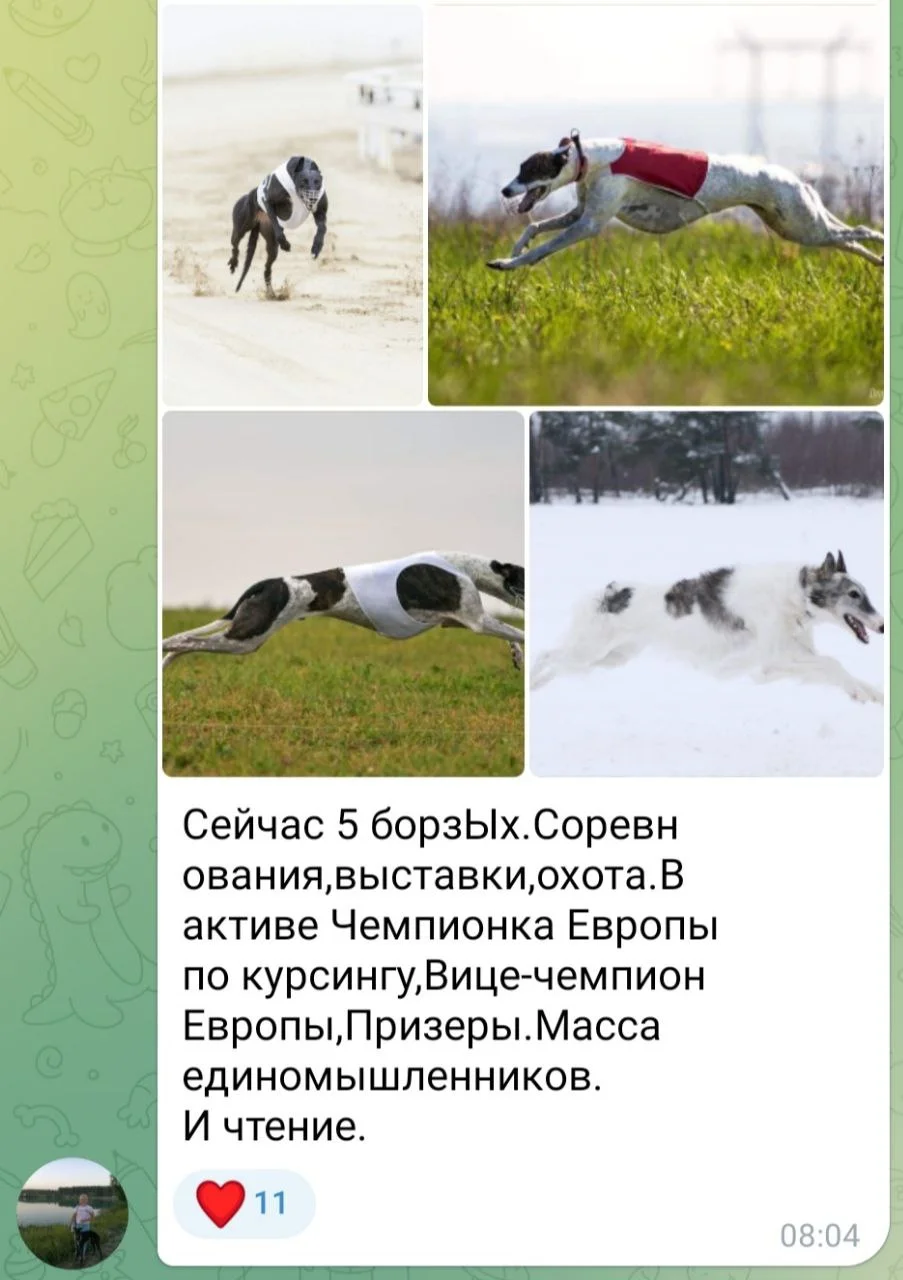 Изображение к публикации