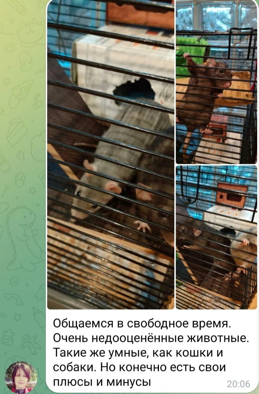 Изображение к публикации
