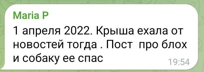 Изображение к публикации