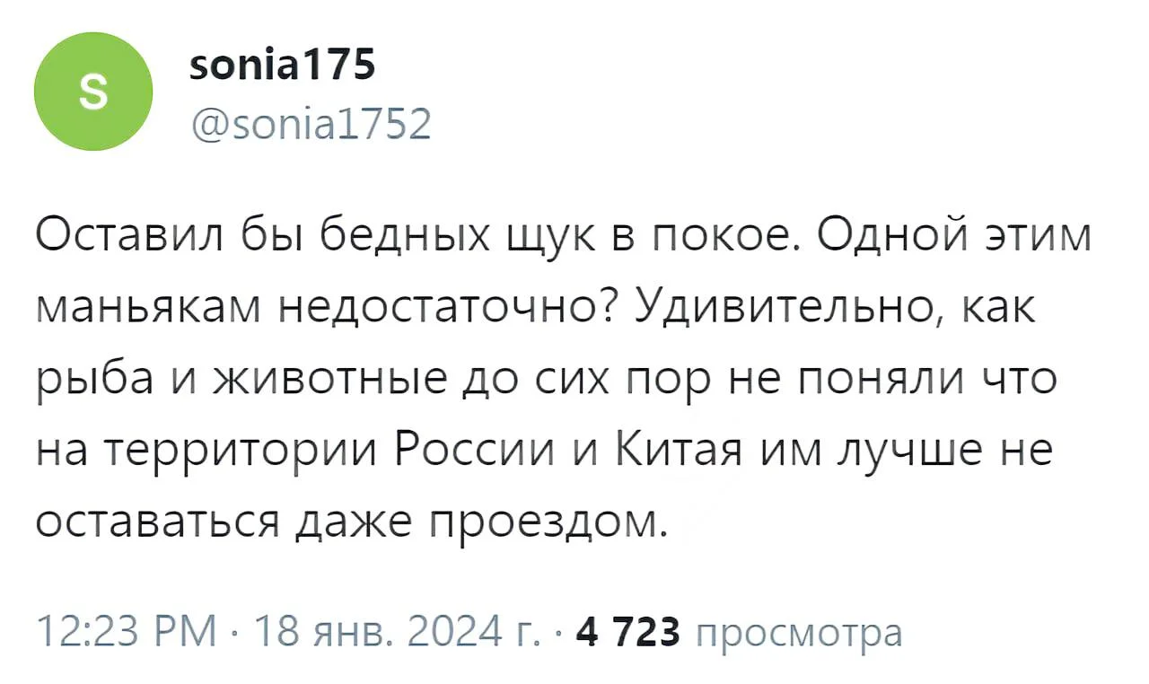 Изображение к публикации