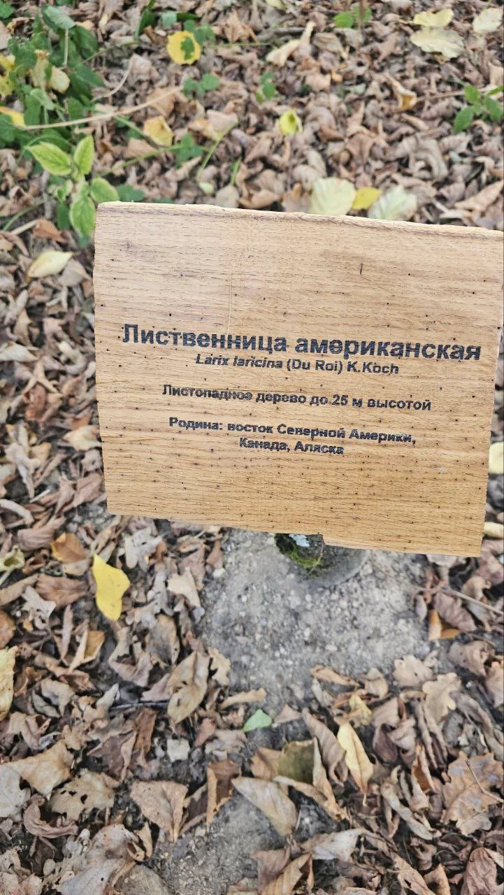 Изображение к публикации